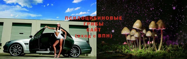 индика Навашино