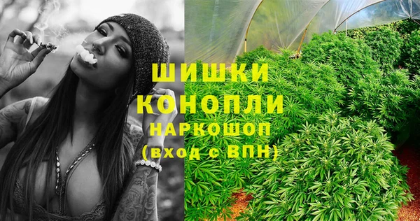 индика Навашино