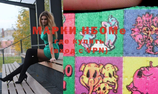 индика Навашино