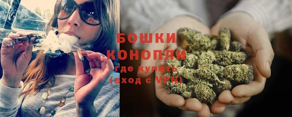 индика Навашино