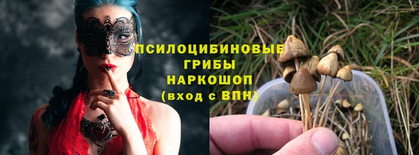 индика Навашино