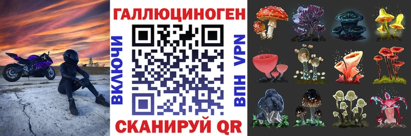 Псилоцибиновые грибы Magic Shrooms  Нахабино 